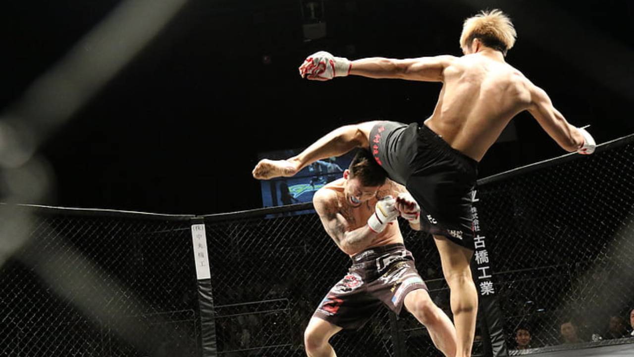 Mma Fighting Insurance In Perth 1